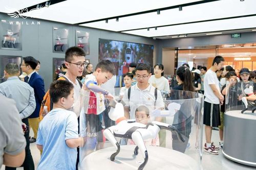 蔚藍科技發布具身智能產品矩陣，引領AI新紀元的信息技術咨詢服務革新